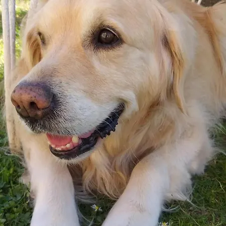 La Casa Sul * Angera