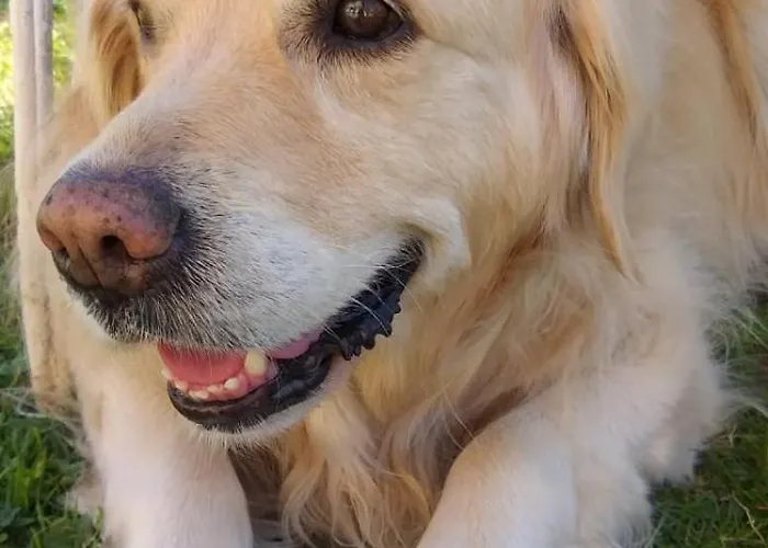 La Casa Sul * 안게라