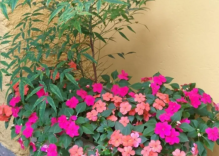 La Casa Sul 펜션 안게라