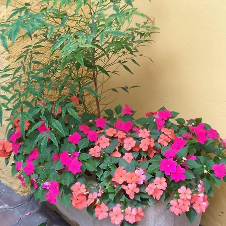 La Casa Sul Hébergement de vacances Angera